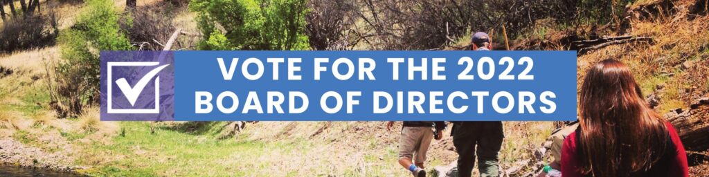 2022 Board of Directors Election