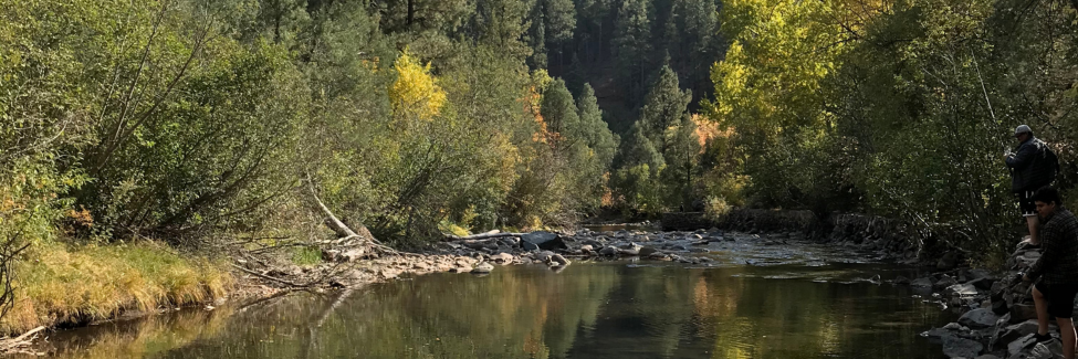 New Mexico Wild Files Objection to Gila National Forest Land Management Plan