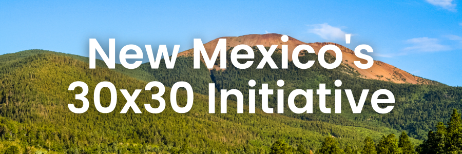Help improve New Mexico’s conservation priorities as part of the 30×30 campaign