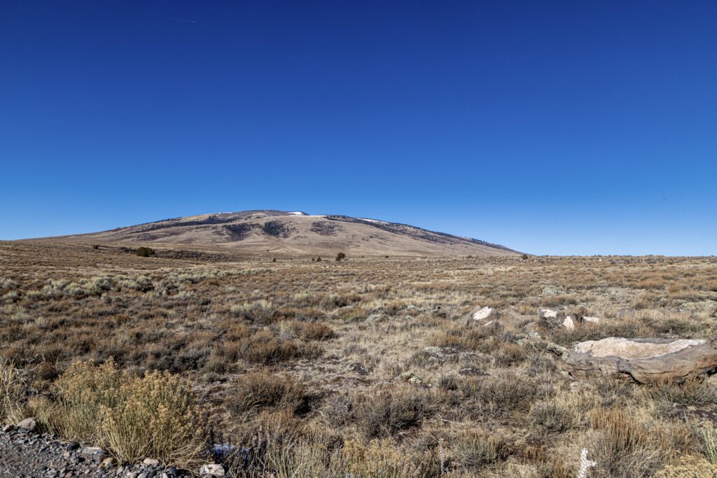 A Souvenir for Later