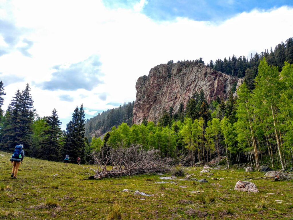 Environmental Priorities See Mixed Results in Legislative Session