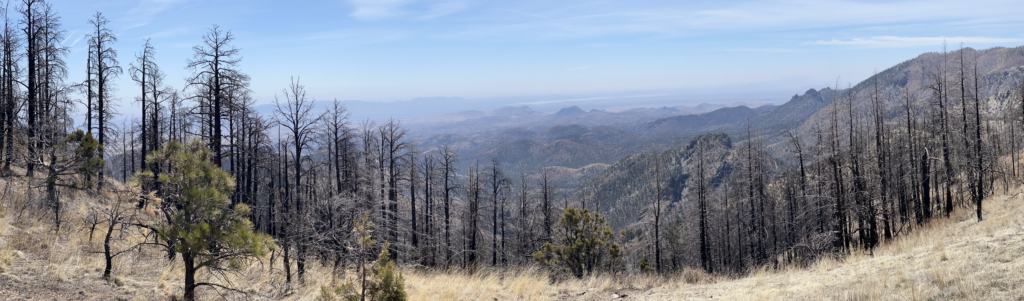 Exploring the Apache Kid Wilderness Through Trail Work