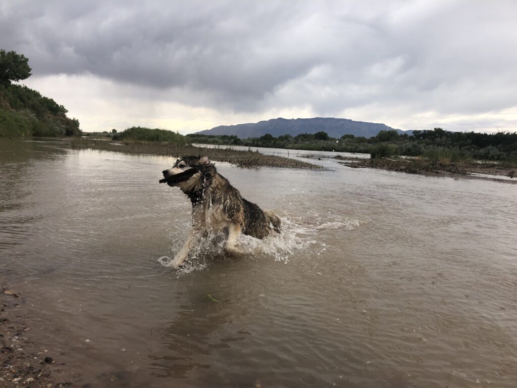 New Mexico’s Waters One Year After Sackett