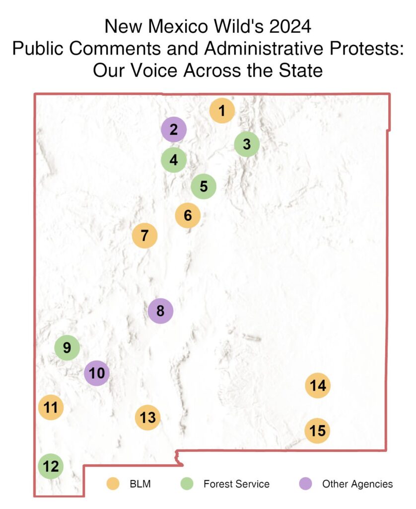 New Mexico Wild’s 2024 Public Comments and Administrative Protests: Our Voice Across the State