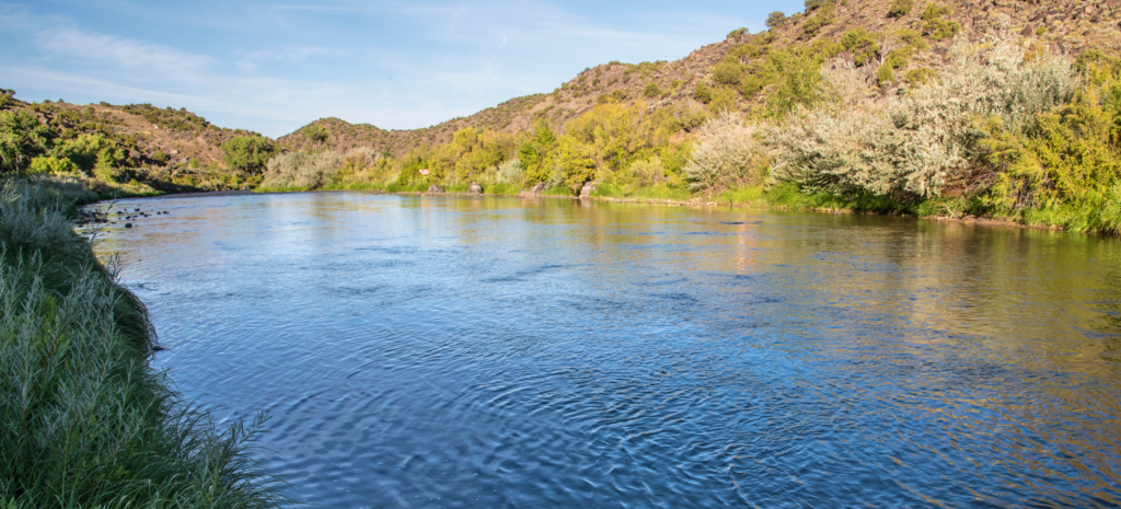 Governor Lujan Grisham’s Signing of Landmark Conservation and Wildlife Protection Bills is Celebrated by New Mexico Wild 
