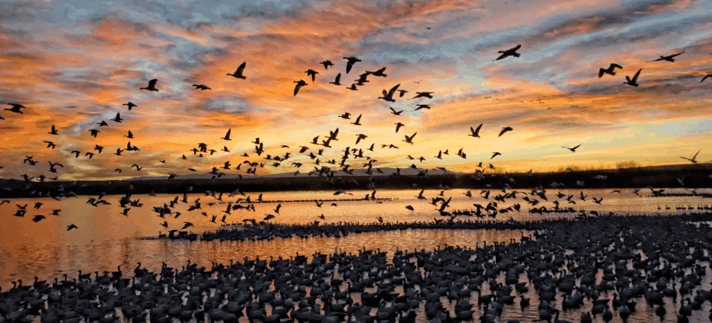 Ready for What’s Ahead: A Message from Executive Director Mark Allison