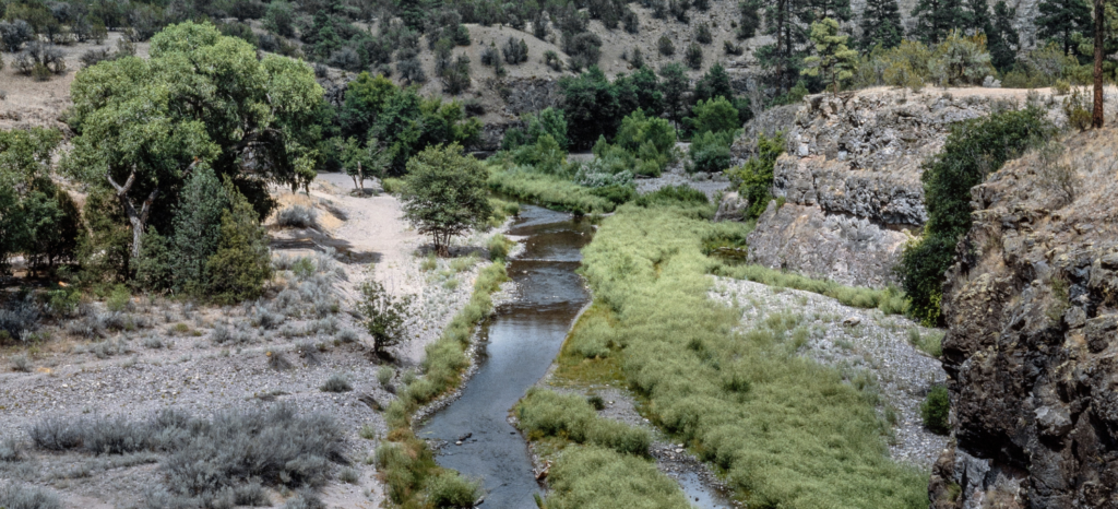 Grant County’s 2024 Tribute to Gila Wilderness Recognizes Visionary Conservation Action
