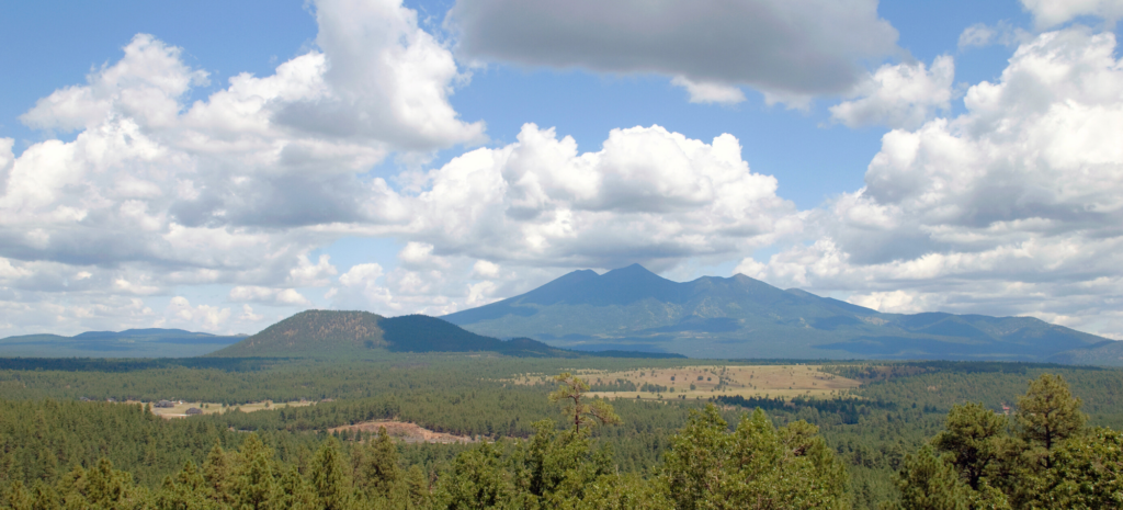 Mexican Gray Wolves Near Flagstaff: A Missed Opportunity for Natural Recovery