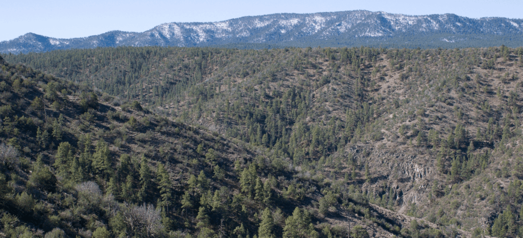 New Mexico Wild Condemns Roadless Rule Rollback