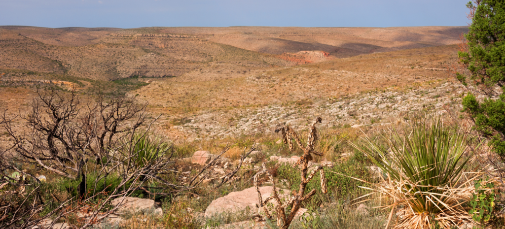 BLM Defers Oil and Gas Leases Near Carlsbad Caverns