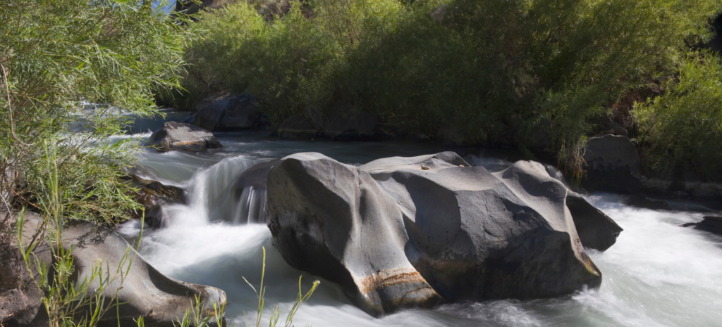 New Mexico Wild Advocates for State-led Water Quality Permit Program