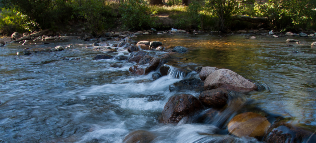 Sign the Petition to Stop Tererro Mine